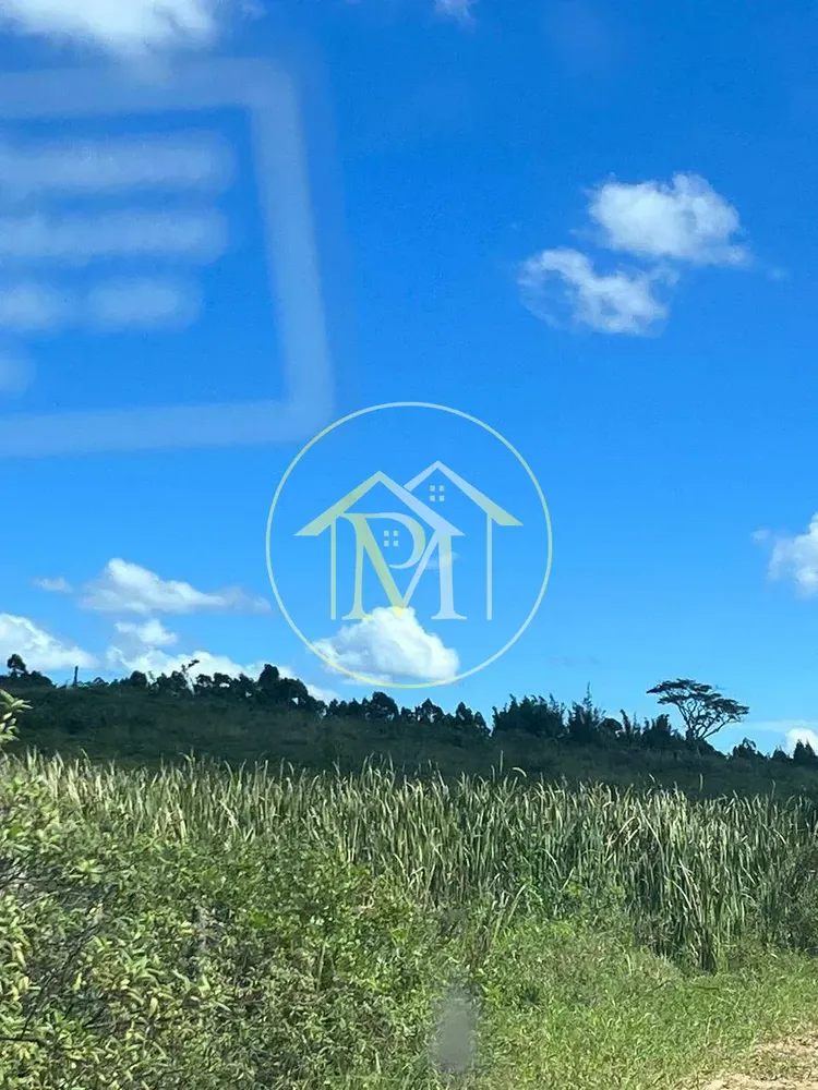 Fazenda, 126 hectares - Foto 9