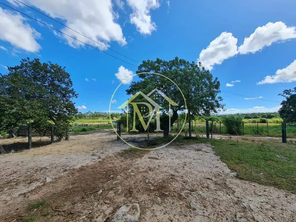 Fazenda, 126 hectares - Foto 37