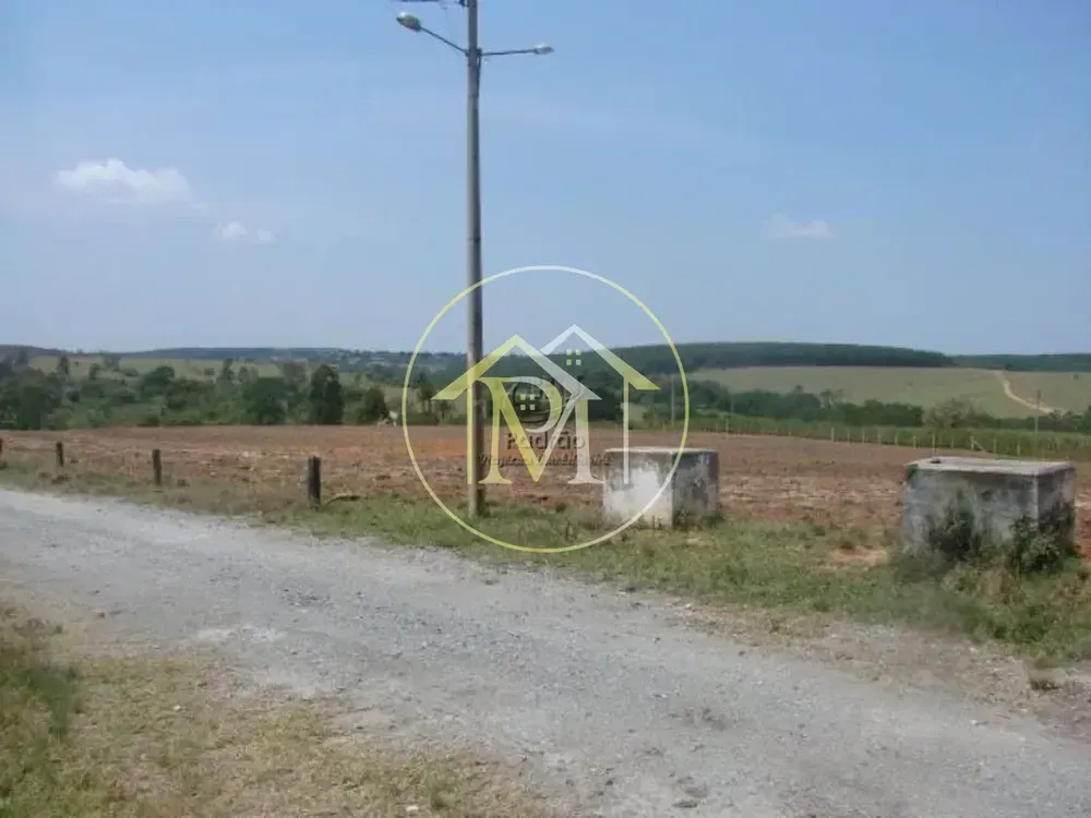 Fazenda, 87 hectares - Foto 8
