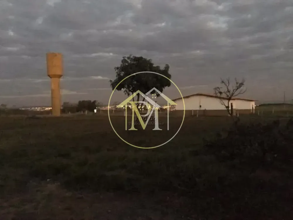 Fazenda, 87 hectares - Foto 4