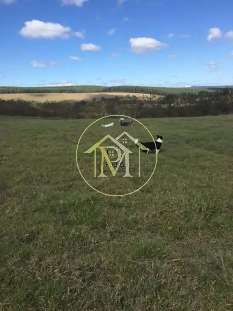 Fazenda, 87 hectares - Foto 1