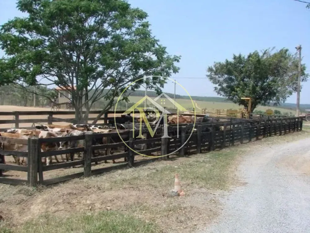 Fazenda, 87 hectares - Foto 3