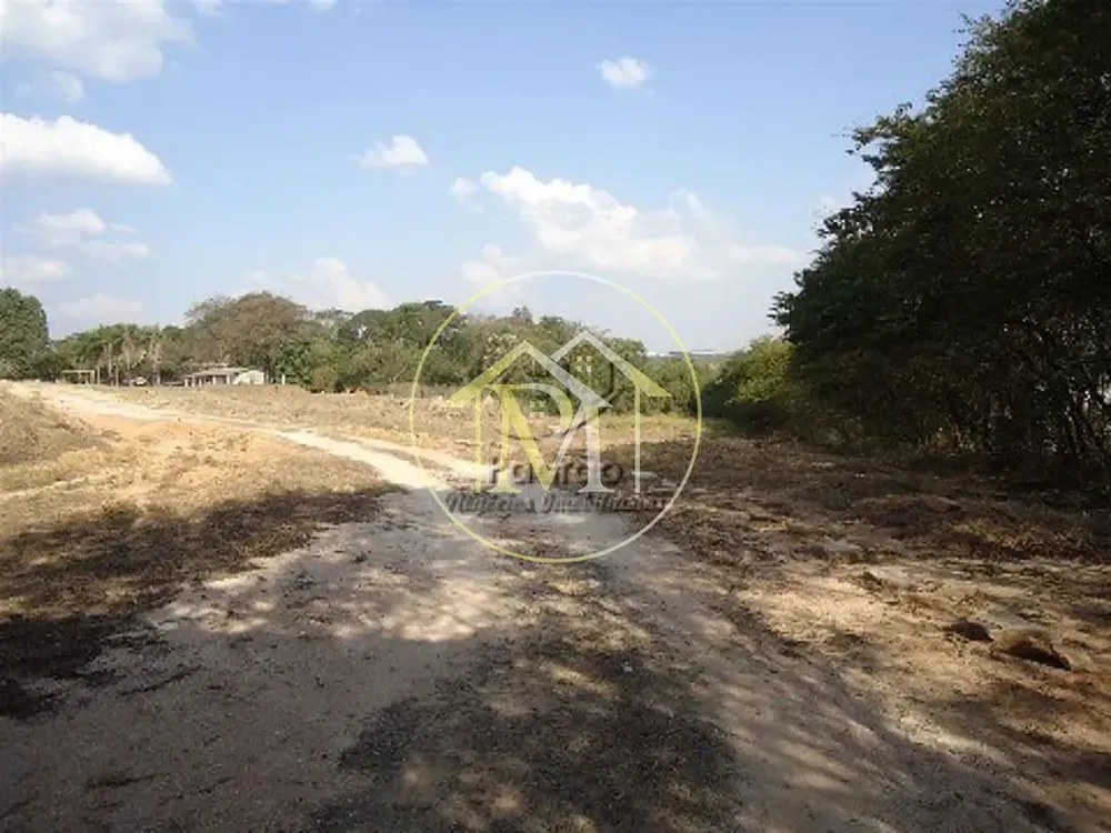 Terreno, 10 hectares - Foto 4