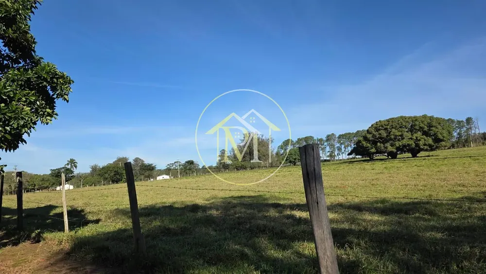 Fazenda, 48 hectares - Foto 3