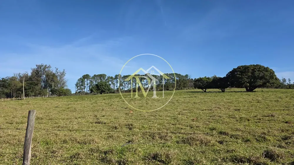Fazenda, 48 hectares - Foto 4