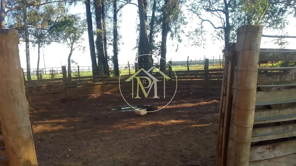 Fazenda, 17 hectares - Foto 3