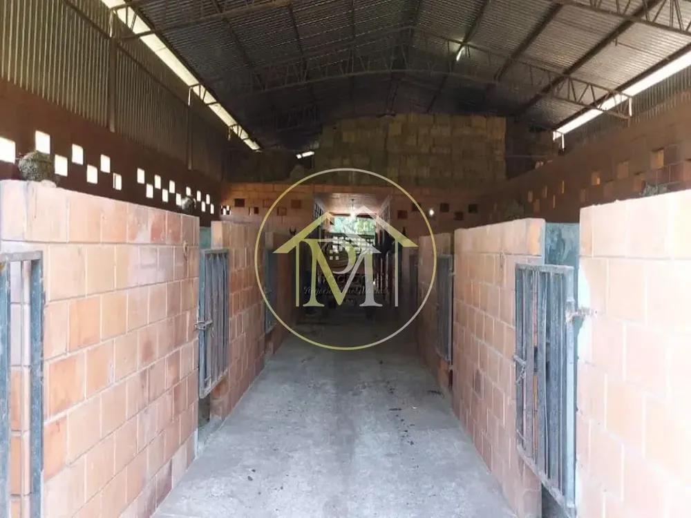 Fazenda, 85 hectares - Foto 7