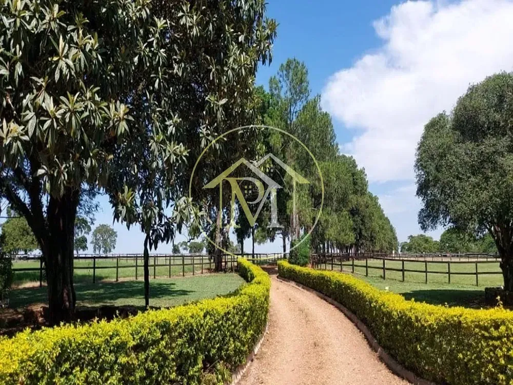 Fazenda, 85 hectares - Foto 3