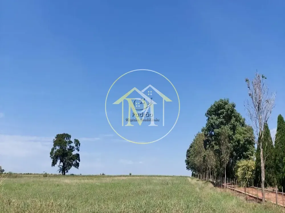 Fazenda, 85 hectares - Foto 7