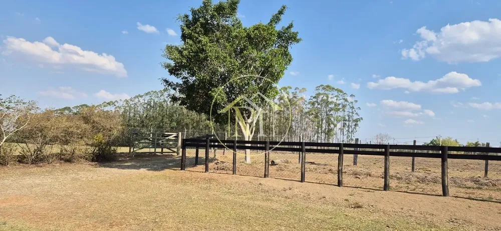 Sítio, 4 quartos, 6 hectares - Foto 7