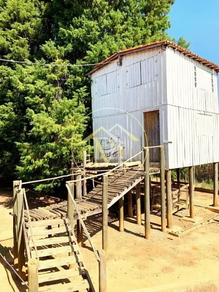 Fazenda, 56 hectares - Foto 8