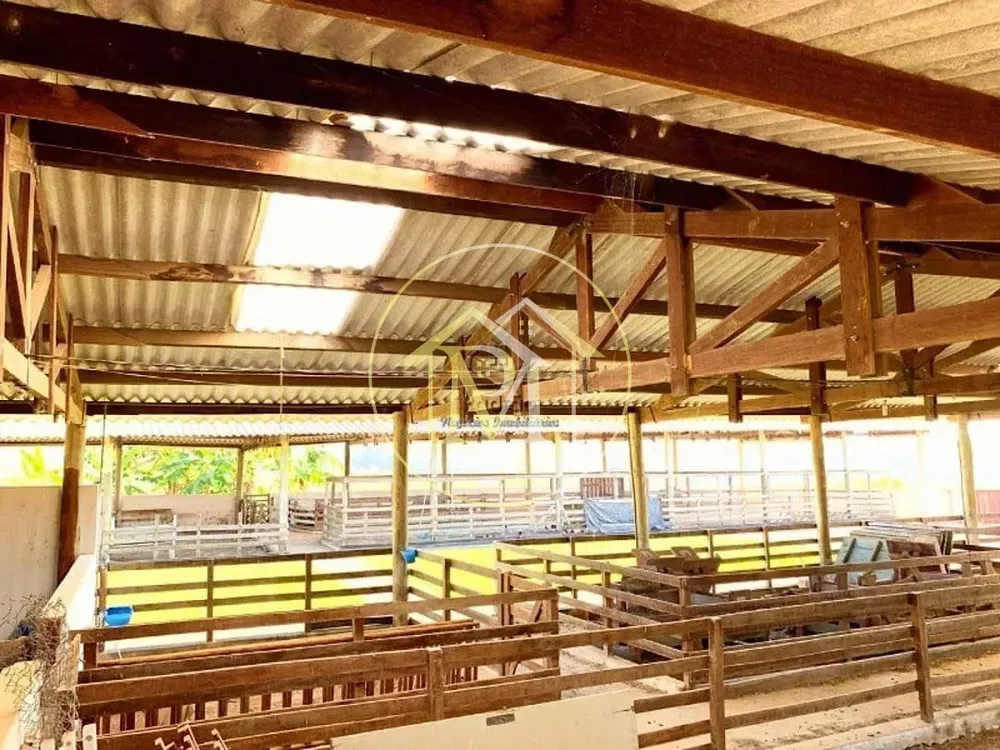 Fazenda, 56 hectares - Foto 12