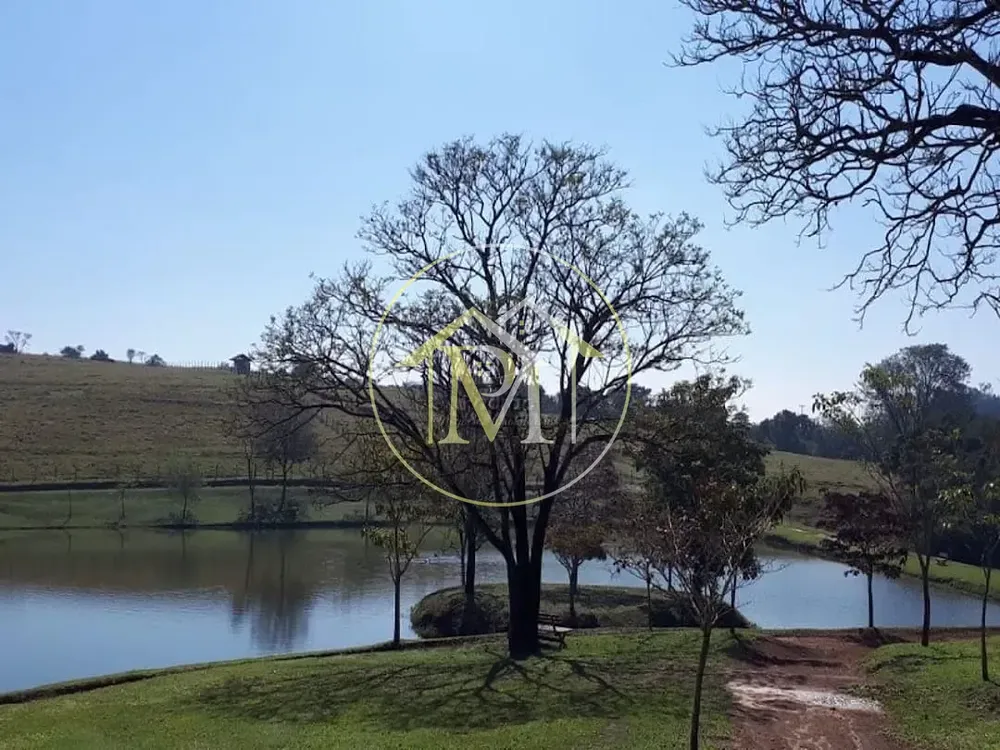 Fazenda, 104 hectares - Foto 10