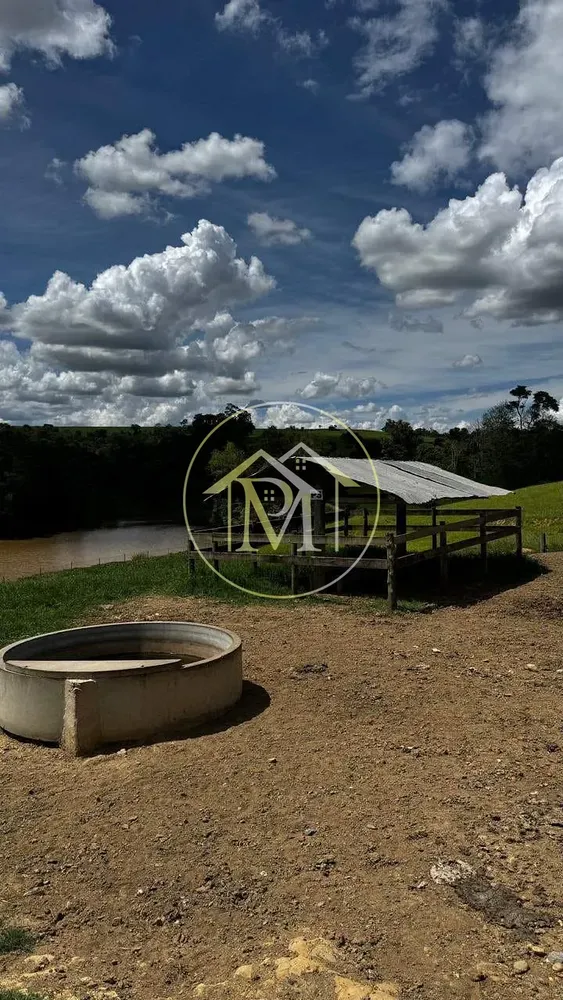 Fazenda, 97 hectares - Foto 8