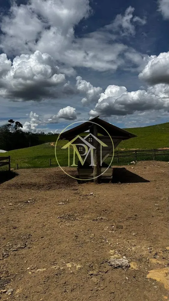 Fazenda, 97 hectares - Foto 4