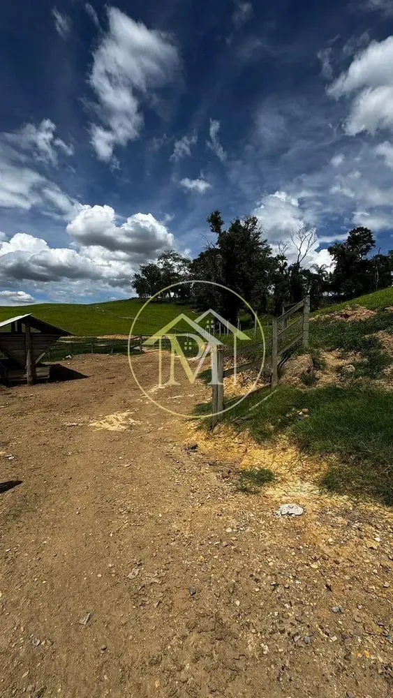 Fazenda, 97 hectares - Foto 3