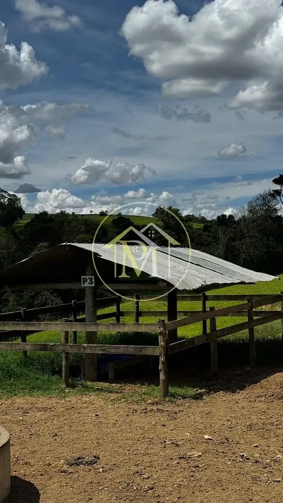 Fazenda, 97 hectares - Foto 12