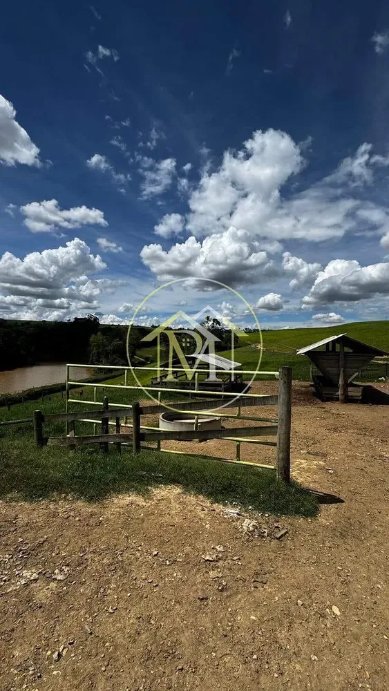 Fazenda, 97 hectares - Foto 5