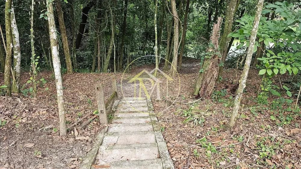 Sítio, 3 quartos, 2 hectares - Foto 4