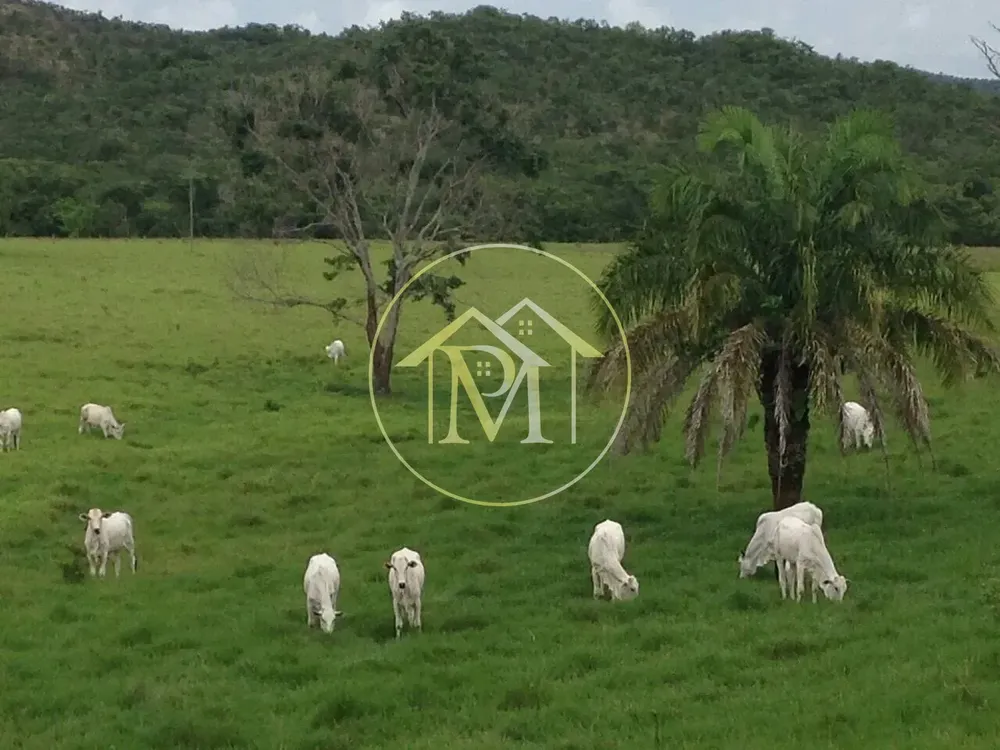 Fazenda, 1452 hectares - Foto 4