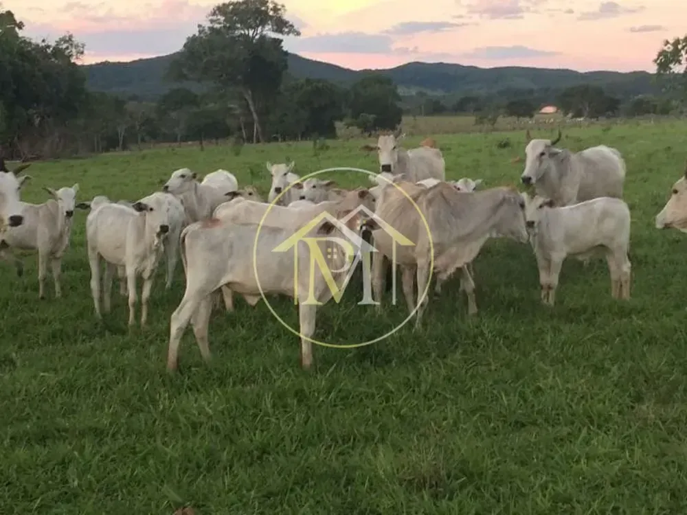 Fazenda, 1452 hectares - Foto 3