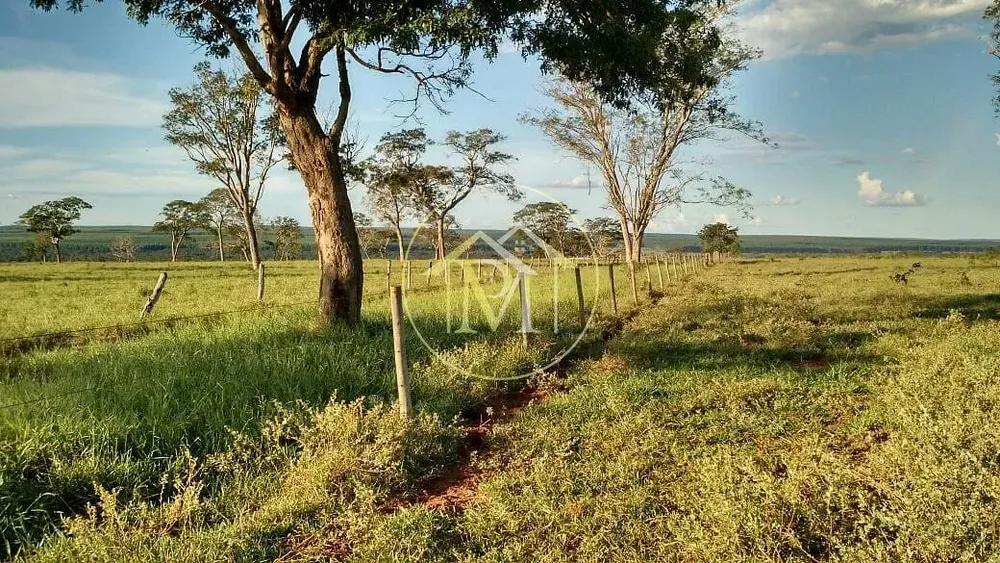 Fazenda, 1452 hectares - Foto 9