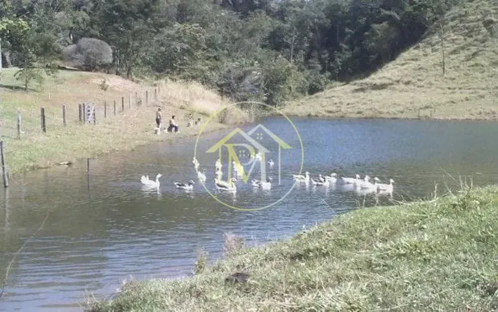 Fazenda, 1452 hectares - Foto 6