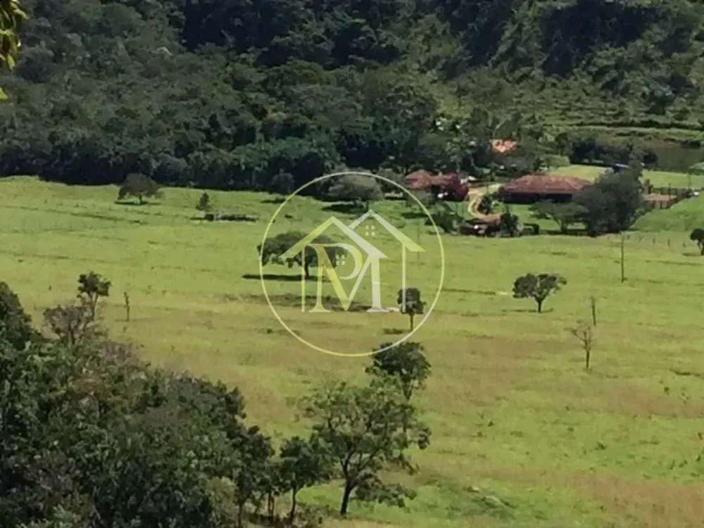 Fazenda, 1452 hectares - Foto 7