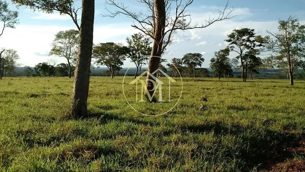 Fazenda, 1452 hectares - Foto 10