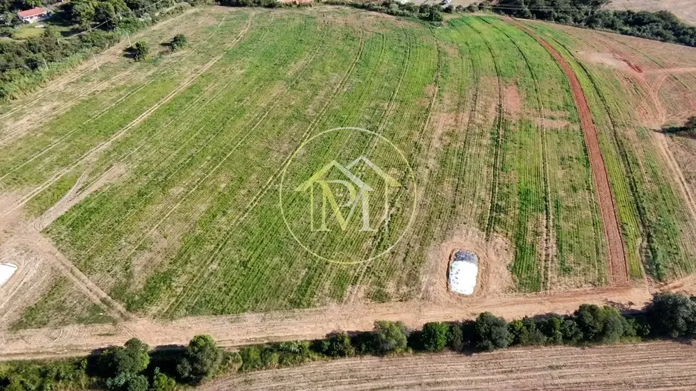 Terreno, 29 hectares - Foto 4