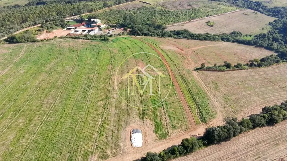 Terreno, 29 hectares - Foto 2