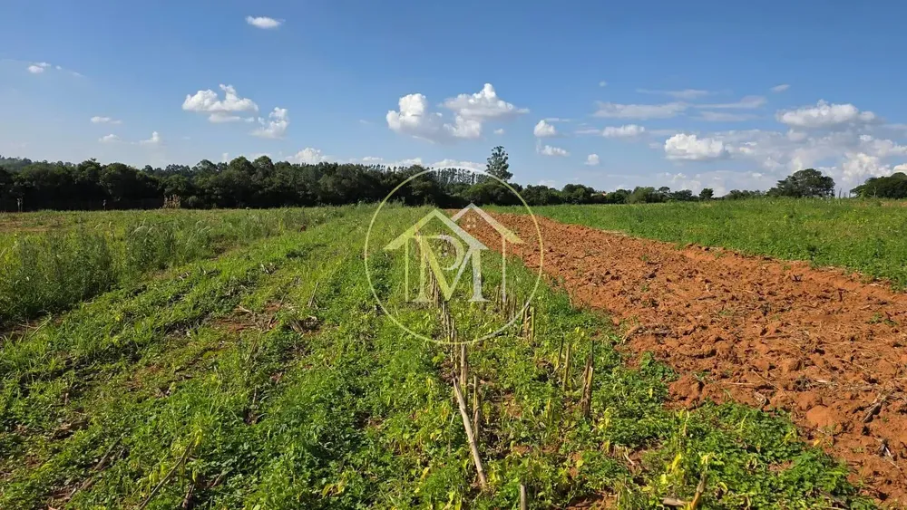 Terreno, 29 hectares - Foto 6