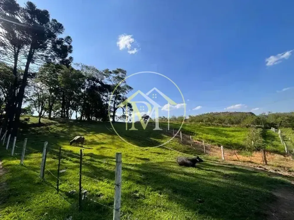 Sítio, 3 quartos, 12 hectares - Foto 3