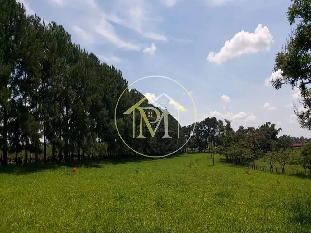 Fazenda, 34 hectares - Foto 7