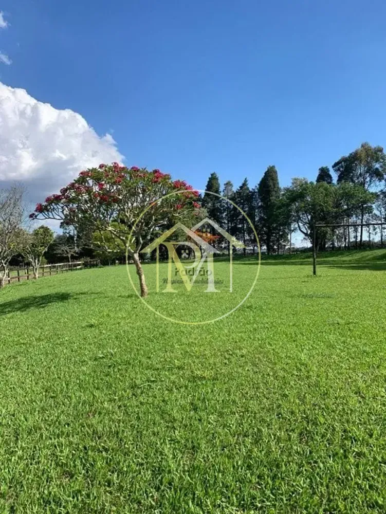 Fazenda, 34 hectares - Foto 4