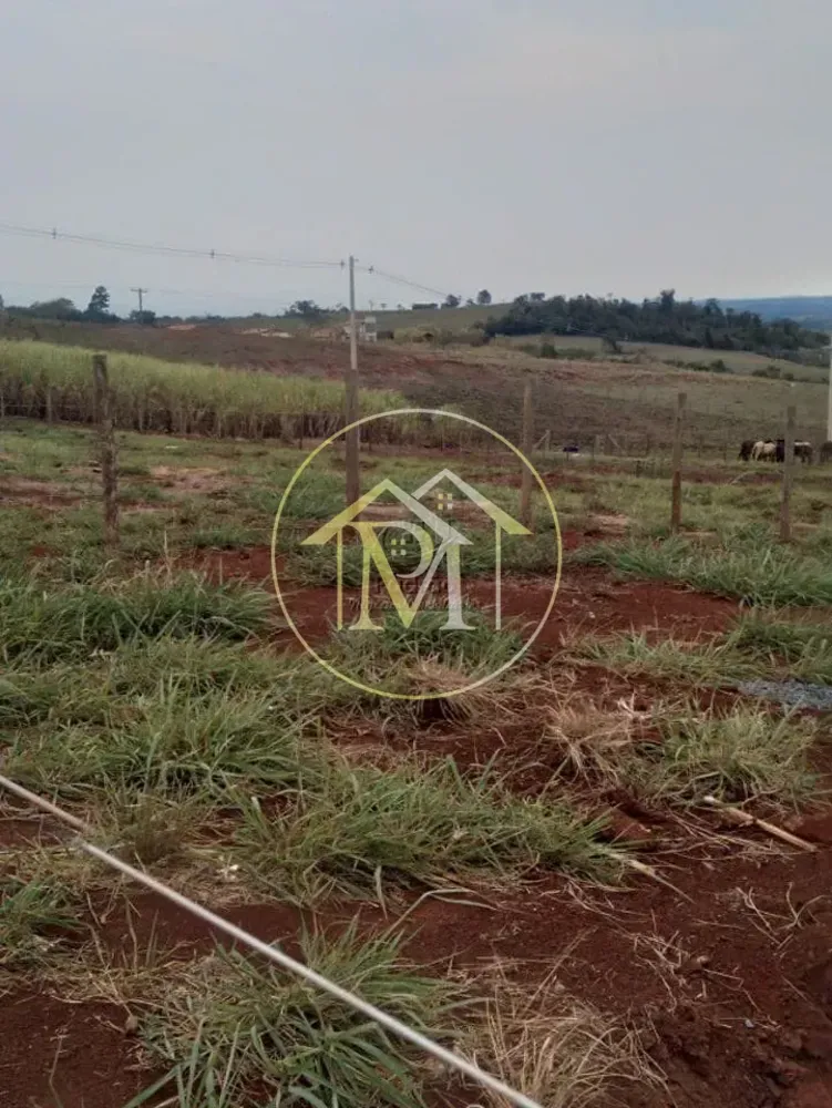 Fazenda, 10 hectares - Foto 6