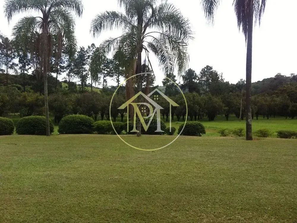 Sítio, 4 quartos, 31 hectares - Foto 4