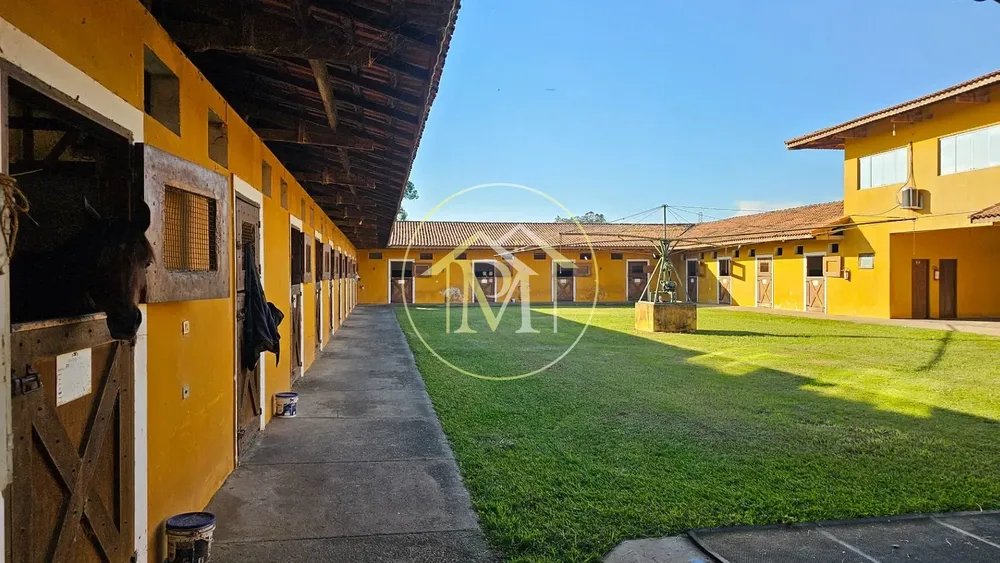 Fazenda, 13 hectares - Foto 4