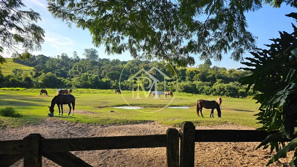 Fazenda, 13 hectares - Foto 6