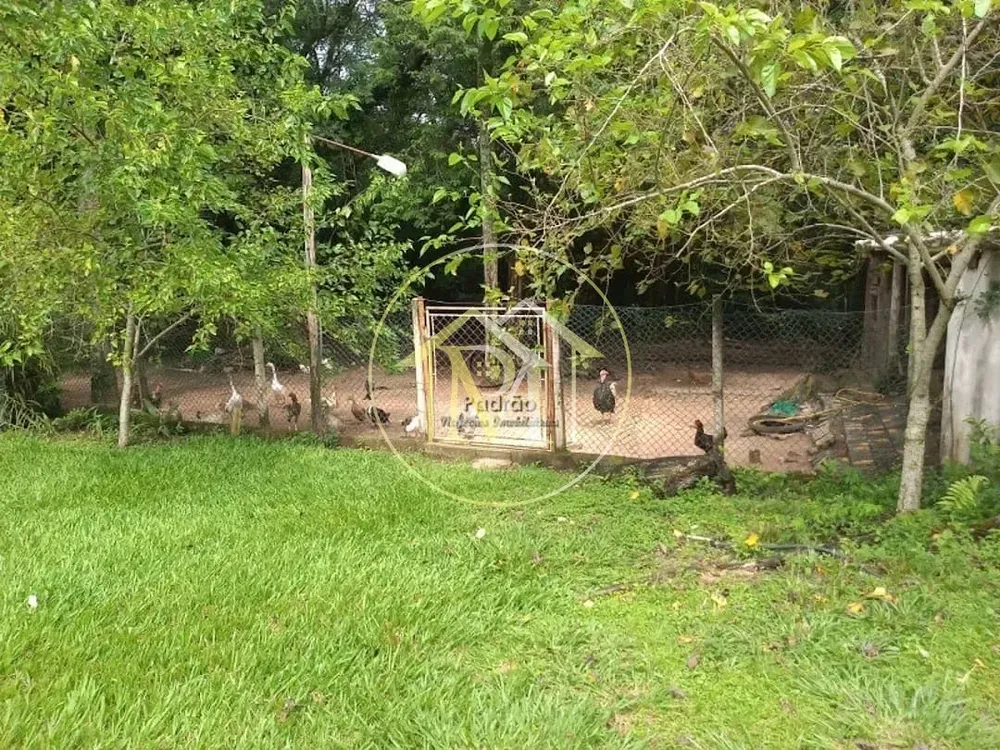 Sítio, 3 quartos, 3 hectares - Foto 2