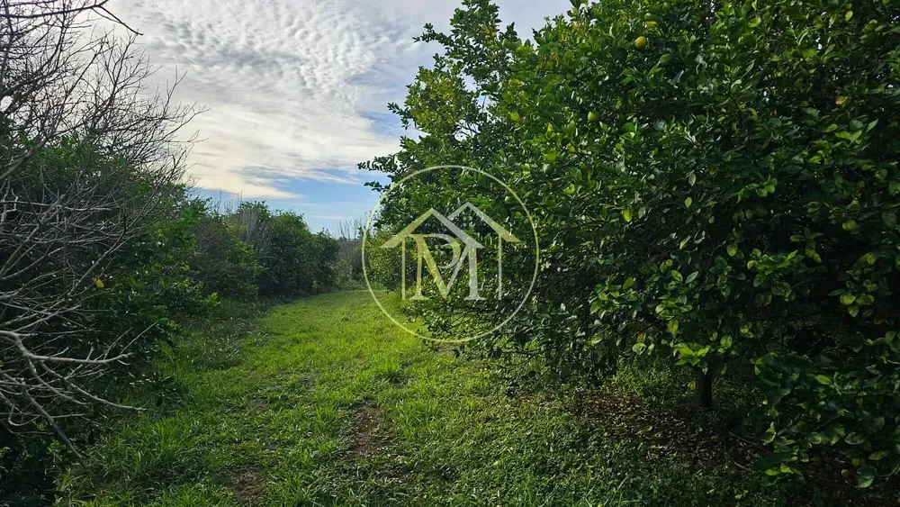 Sítio, 3 quartos, 10 hectares - Foto 4