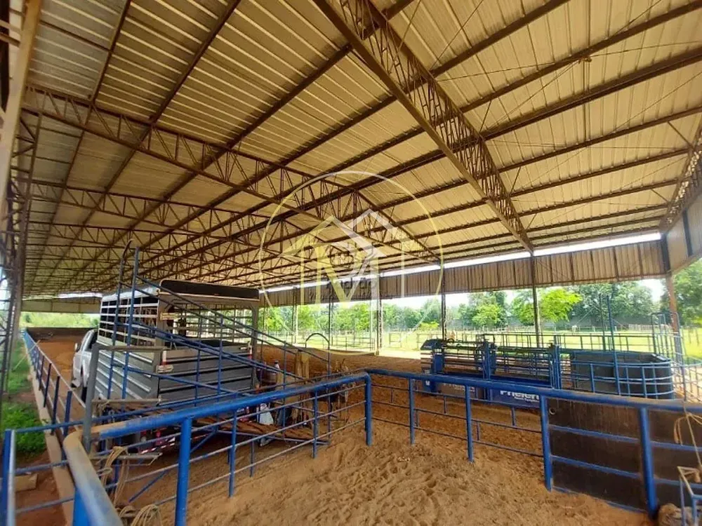 Fazenda, 17 hectares - Foto 4