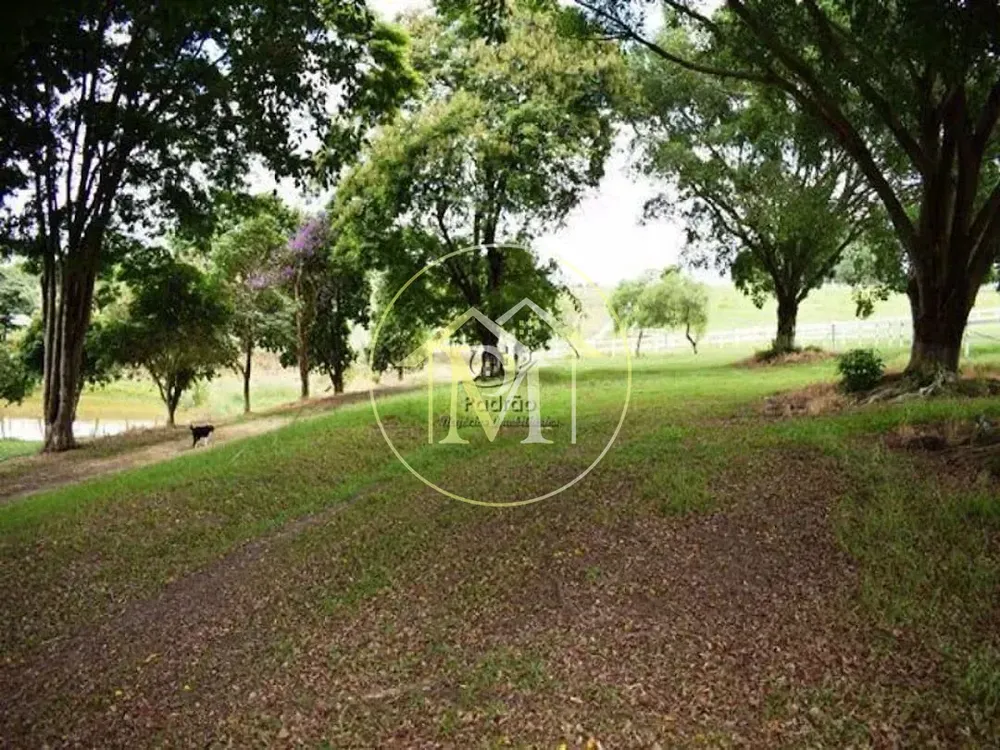 Fazenda, 39 hectares - Foto 2