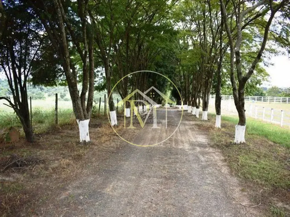 Fazenda, 39 hectares - Foto 3