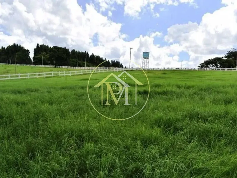 Fazenda, 39 hectares - Foto 1