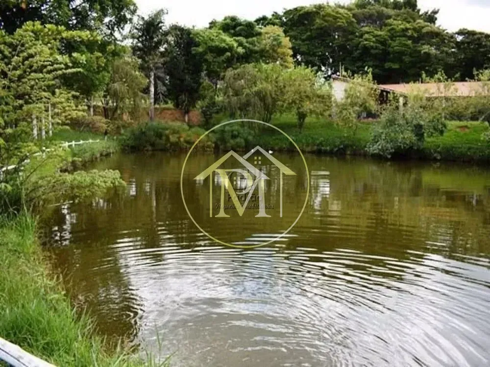 Fazenda, 39 hectares - Foto 6