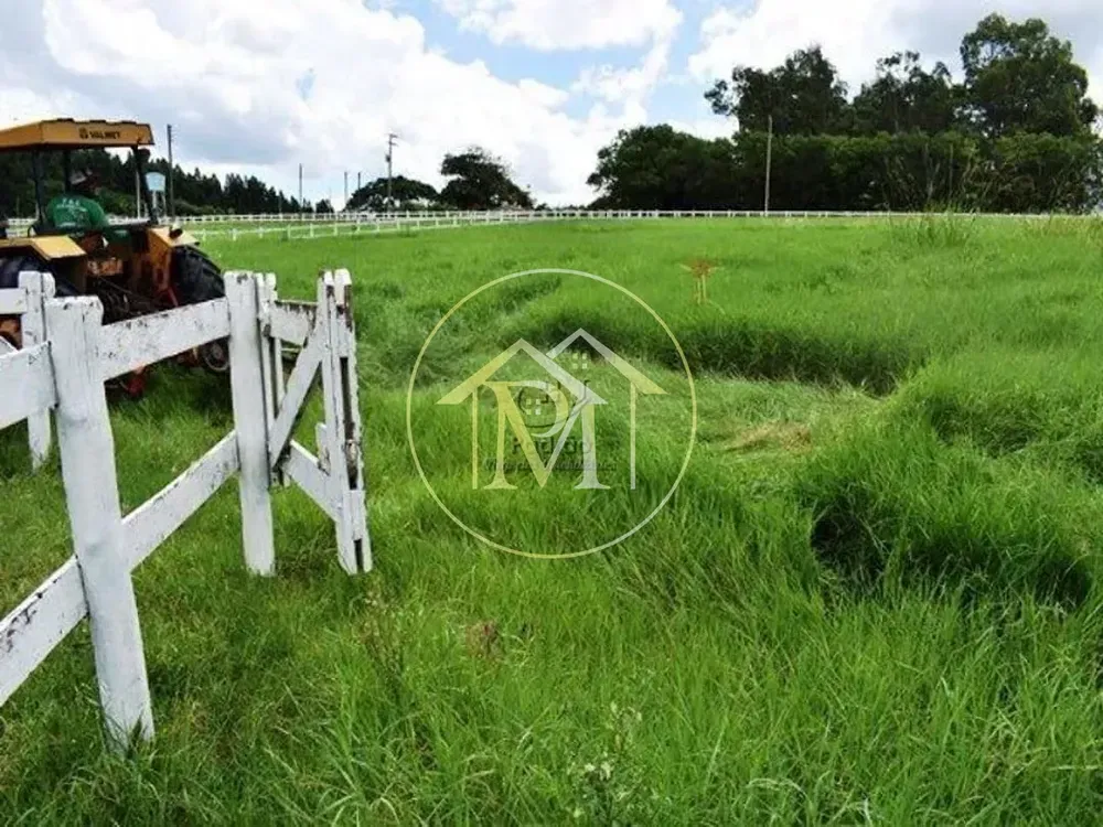 Fazenda, 39 hectares - Foto 7