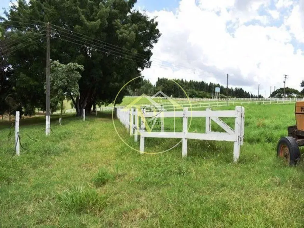 Fazenda, 39 hectares - Foto 8