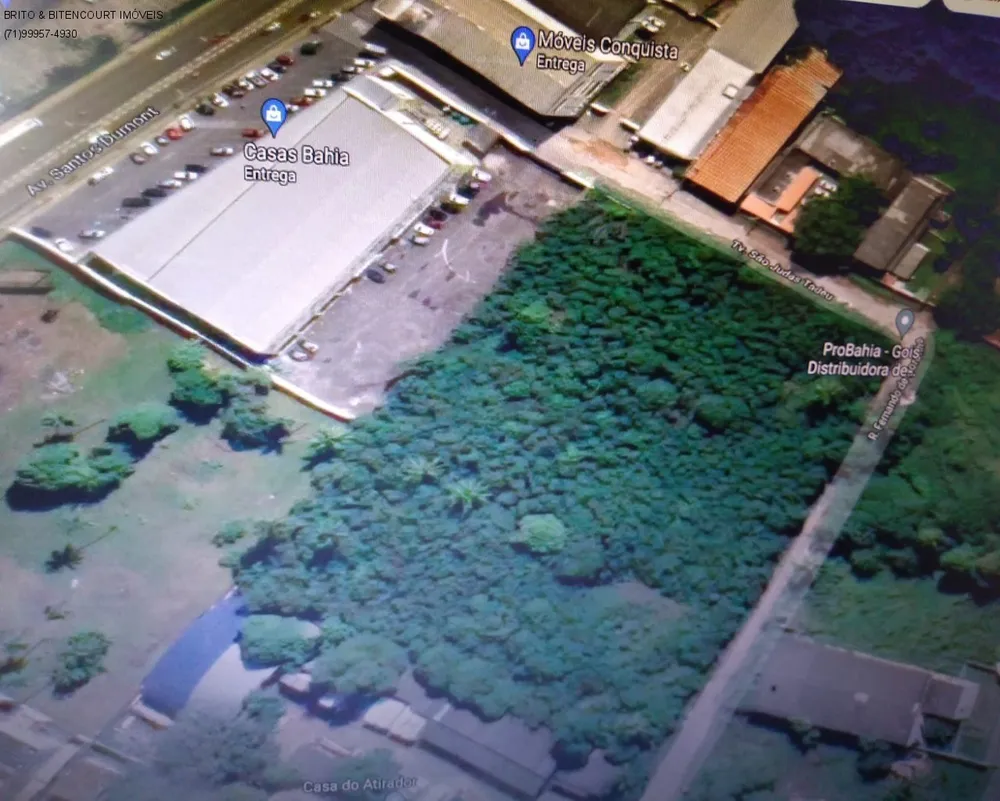 Terreno, 10000 m² - Foto 1
