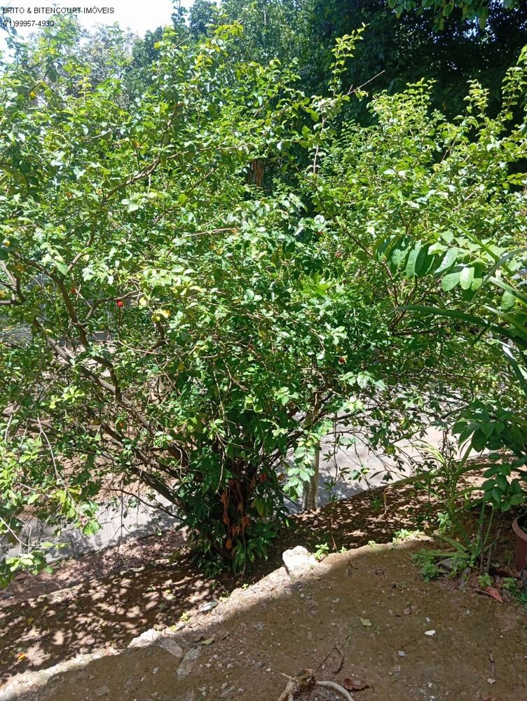 Apartamento, 2 quartos, 80 m² - Foto 15